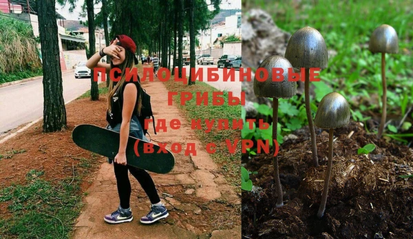ECSTASY Беломорск